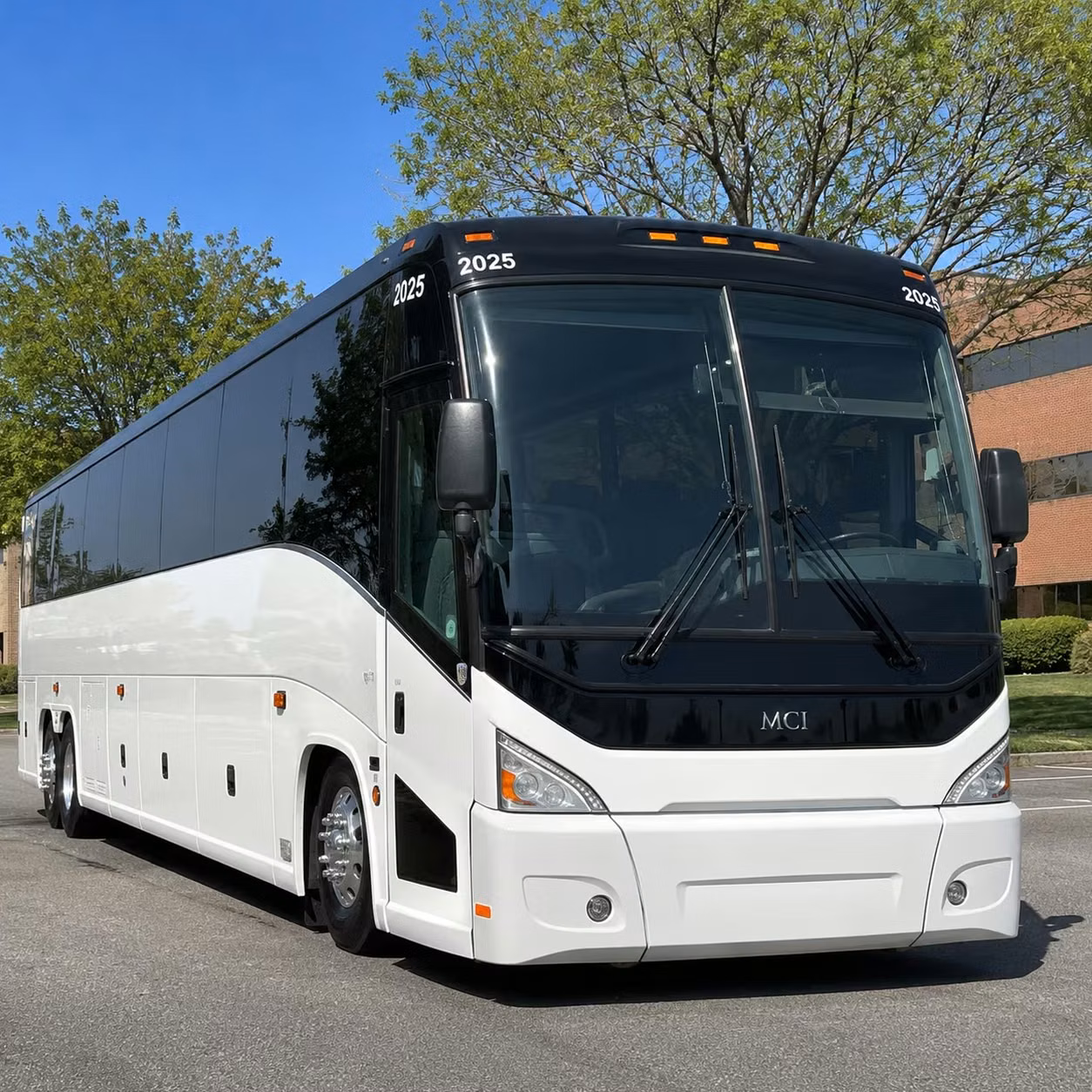 school field trip bus rentals in cape coral